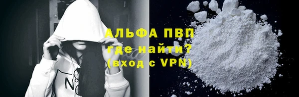 стаф Зеленокумск