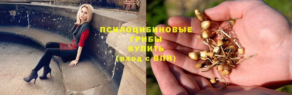 стаф Зеленокумск